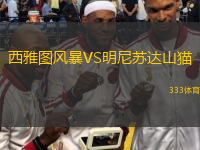  西雅圖風(fēng)暴VS明尼蘇達(dá)山貓