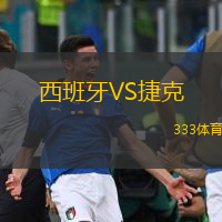  西班牙VS捷克