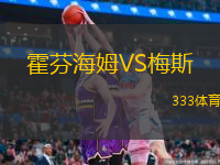  霍芬海姆VS梅斯