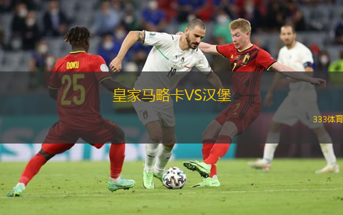  皇家馬略卡VS漢堡
