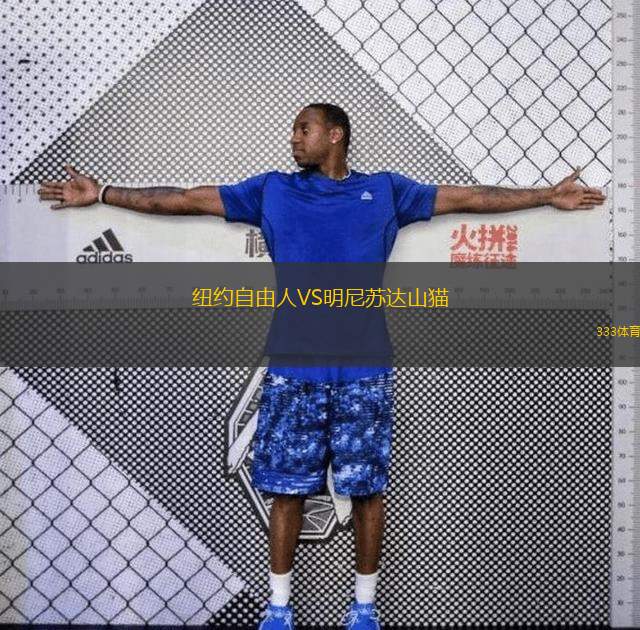  紐約自由人VS明尼蘇達山貓