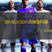  洛杉磯火花VS西雅圖風(fēng)暴