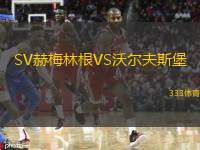  SV赫梅林根VS沃爾夫斯堡