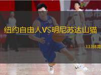  紐約自由人VS明尼蘇達山貓