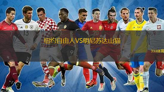  紐約自由人VS明尼蘇達山貓